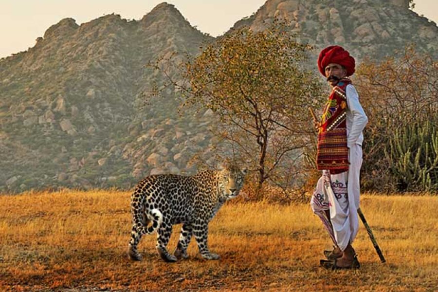 Best 7 Days For Rajasthan Explore