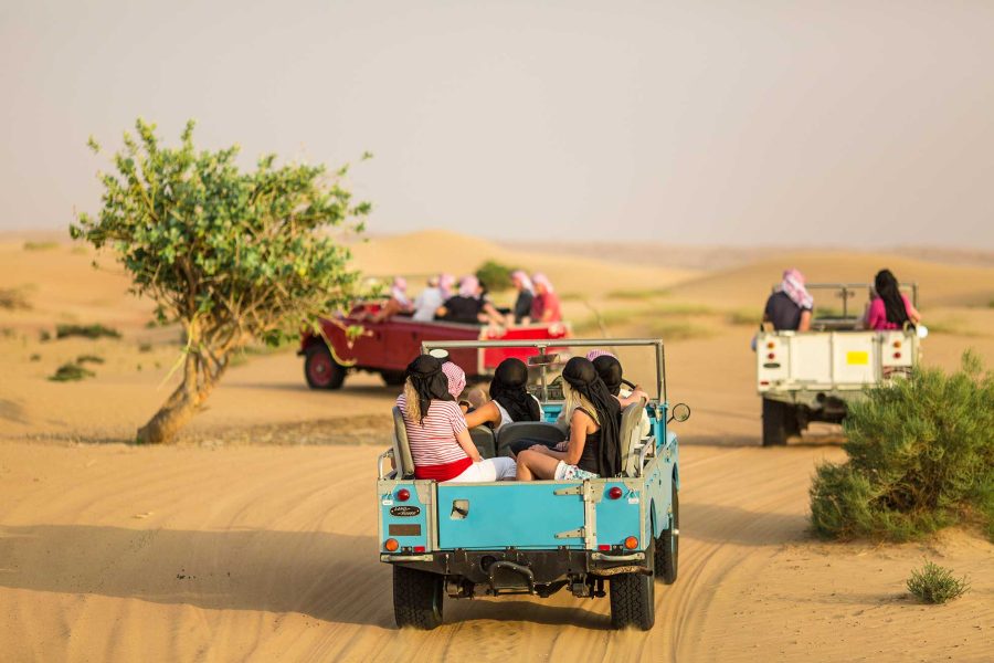 Desert Camping Leisure Tour, Jodhpur