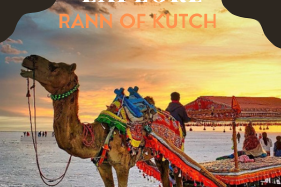 Explore Rann Of Kutch