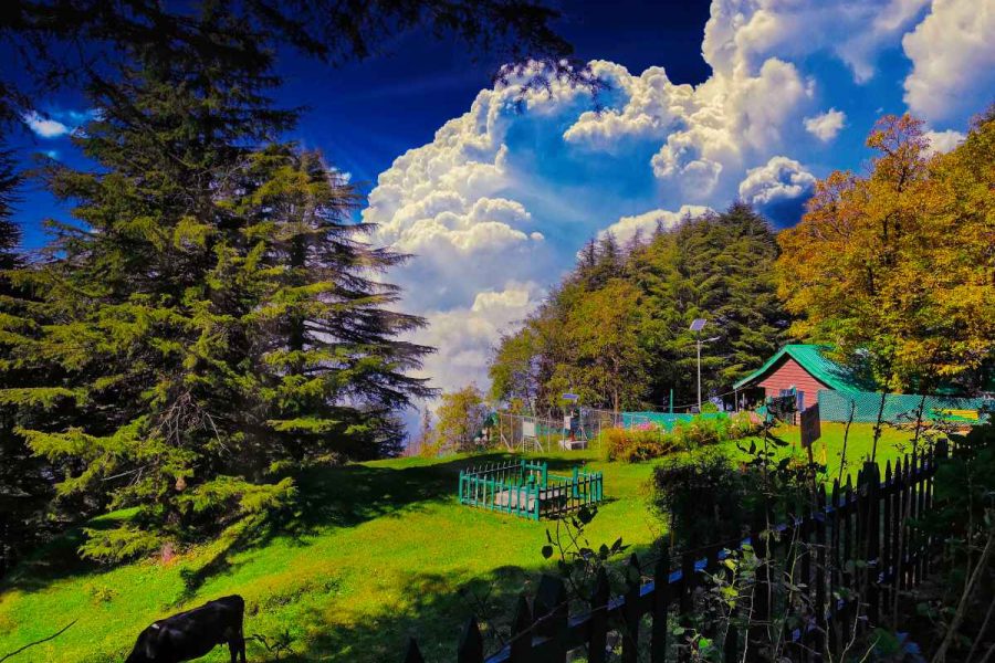 Explore Dalhousie