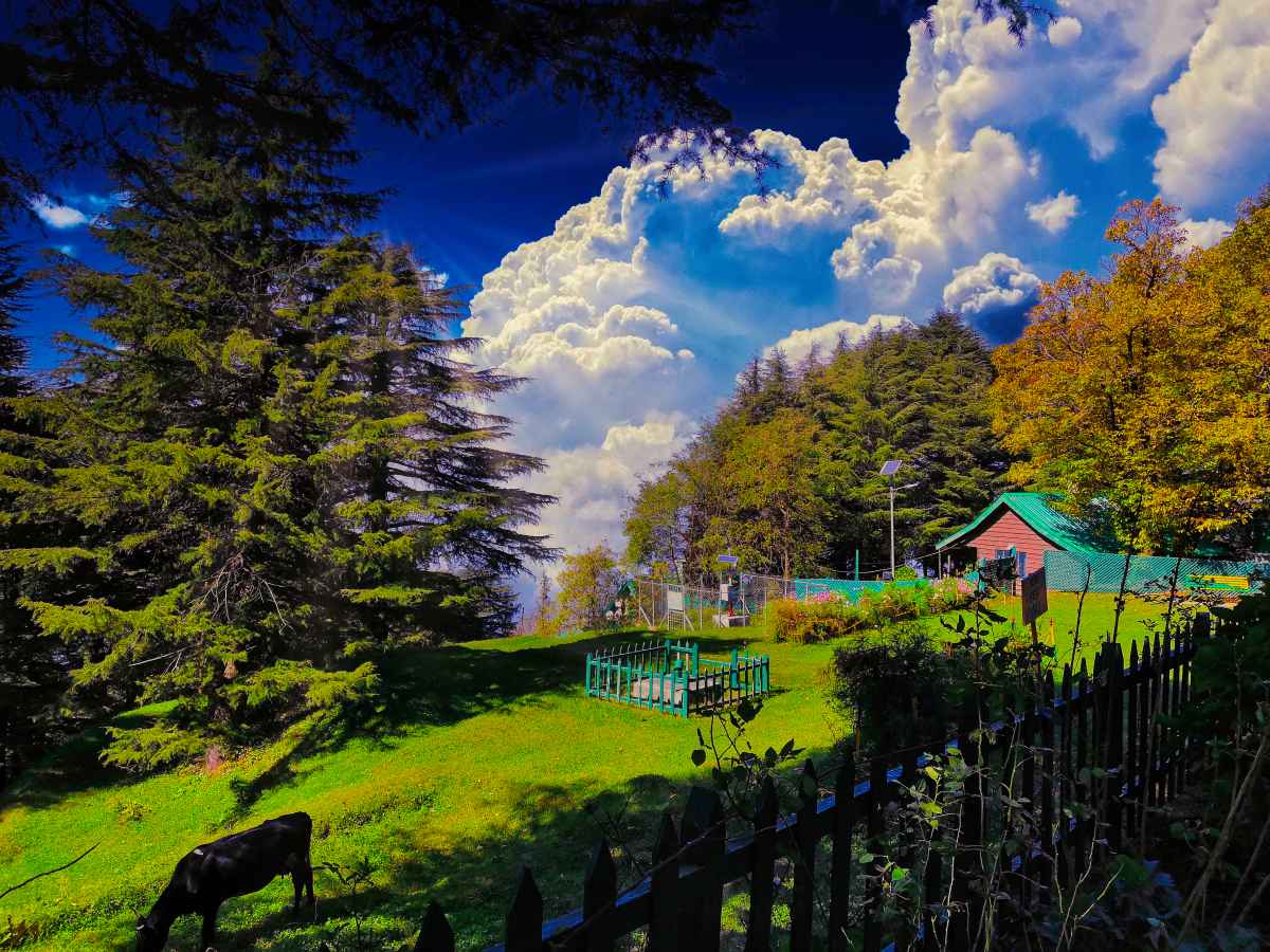 Explore Dalhousie - Kross Adventure