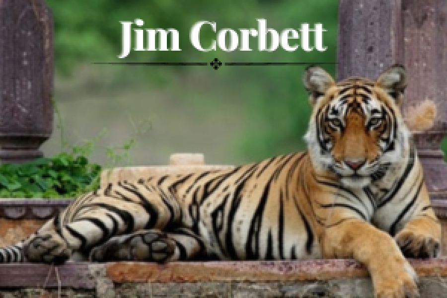 Explore Jim Corbett