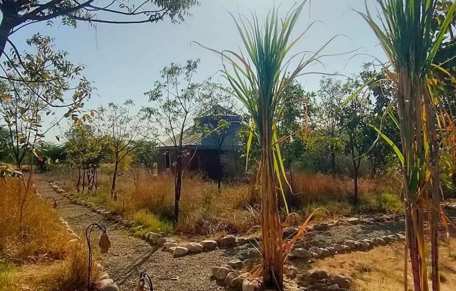Kross Adventure Campsite, jawai dam