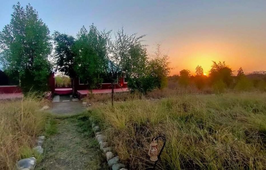 Kross Adventure Campsite, jawai dam