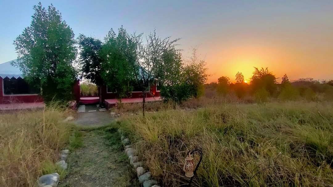 Explore Jawai in Rajasthan