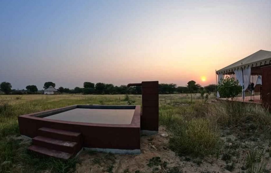 Kross Adventure Campsite, jawai dam