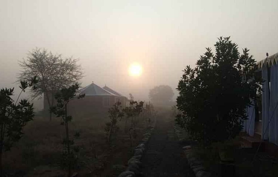 Kross Adventure Campsite, jawai dam